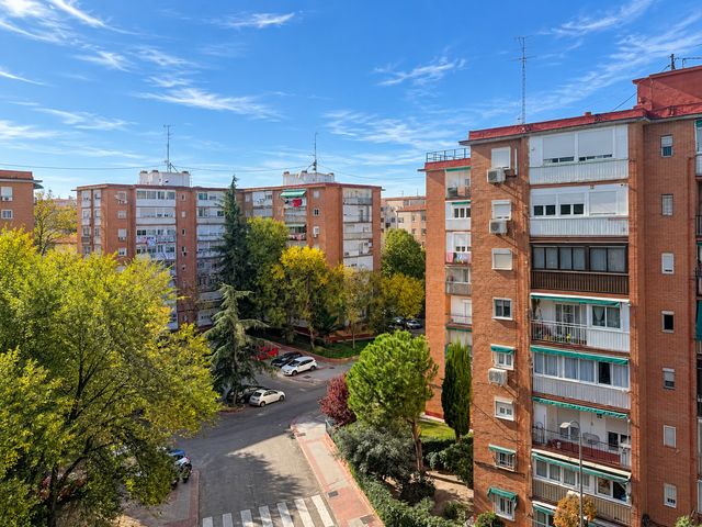 Vistas a zonas arboladas · Piso en San Pascual, foto 11 de 24