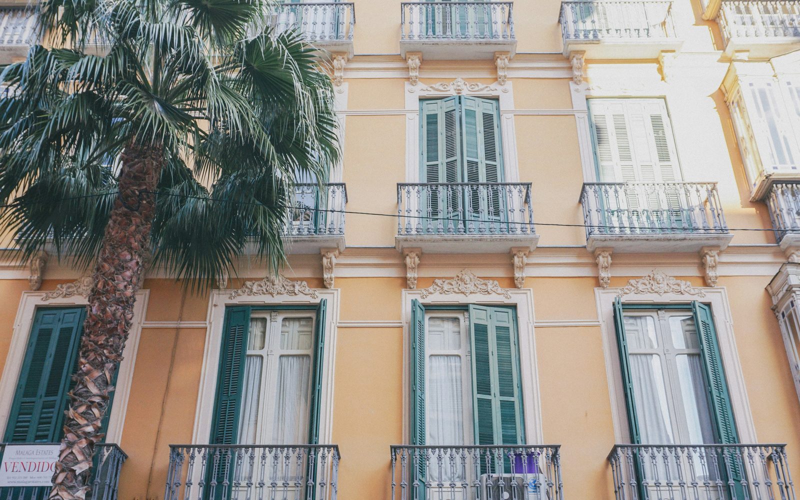 Fachada clásica con balcones y palmera